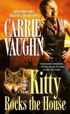 Carrie Vaughn Kitty Rocks the House обложка книги