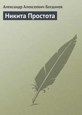 Александр Богданов Никита Простота обложка книги