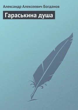 Александр Богданов Гараськина душа обложка книги