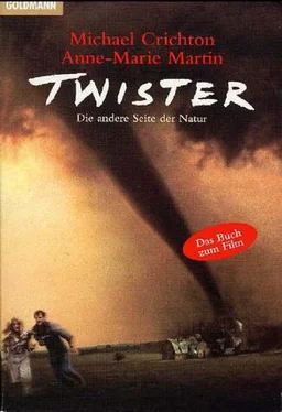 Michael Crichton Twister. Das Original-Drehbuch обложка книги