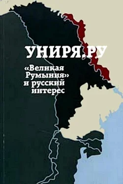 Сборник статей Униря.ру Униря.ру: «Великая Румыния» и русский интерес. Сборник материалов проекта Униря.ру(2007-2008) обложка книги