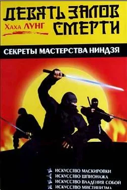 Хаха Лунг Девять залов смерти. Секреты мастерства ниндзя обложка книги