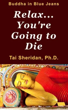 Tai Sheridan Relax... You're Going to Die обложка книги