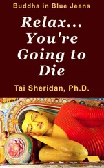 Tai Sheridan - Relax... You're Going to Die