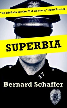 Bernard Schaffer Superbia обложка книги