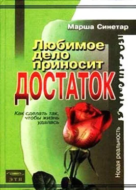 Синетар Марша Любимое дело приносит достаток обложка книги