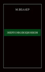 Михаил Веллер - Энергоэволюционизм