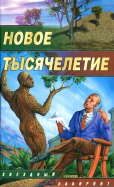 Вера Камша Новое тысячелетие обложка книги