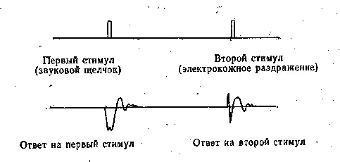 Животному кошке несколько раз подряд предъявлялись два стимула причём второй - фото 1