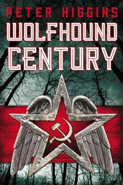 Peter Higgins Wolfhound Century обложка книги