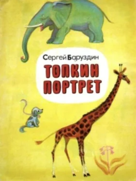 Сергей Баруздин Топкин портрет обложка книги