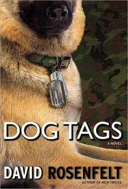 David Rosenfelt Dog Tags обложка книги