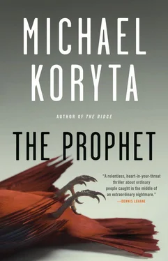 Michael Koryta The Prophet обложка книги