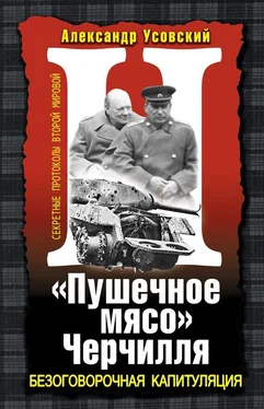 Александр Усовский «Пушечное мясо» Черчилля обложка книги