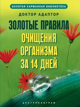 Доктор Адаптор Золотые правила очищения организма за 14 дней обложка книги