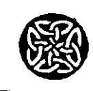 BOOK FOUR Kings XXIX The Senior Surgeon Commander I followed Donuils - фото 6