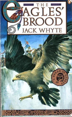 Jack Whyte The Eagles' Brood обложка книги