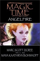 Marc Zicree - Angelfire