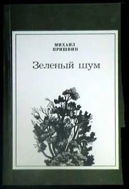 Михаил Пришвин Щегол-турлукан обложка книги