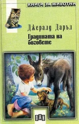 Джералд Даръл - Градината на боговете