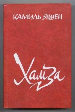 Камиль Яшен Хамза обложка книги