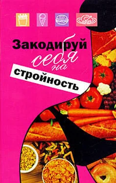 Михаил Ингерлейб Закодируй себя на стройность обложка книги