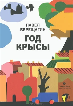 Павел Верещагин Год крысы обложка книги