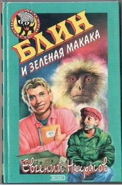 Евгений Некрасов Блин и зеленая макака обложка книги