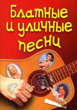 Г. Семга Блатные и уличные песни обложка книги