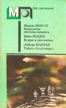 Нина Бодэн Кэрри в дни войны обложка книги