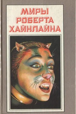 Роберт Хайнлайн Кот, проходящий сквозь стены обложка книги