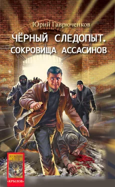 Юрий Гаврюченков Сокровище ассасинов обложка книги