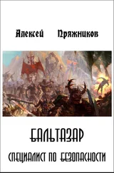 Алексей Пряжников - Бальтазар. Специалист по безопасности