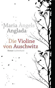 Maria Àngels Anglada Die Violine von Auschwitz обложка книги