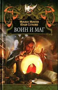 Михаил Михеев Воин и маг обложка книги