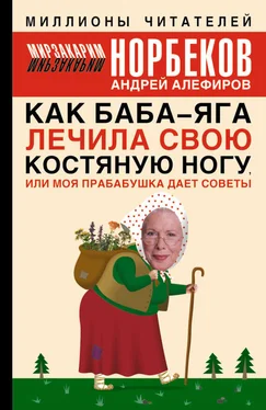 Андрей Алефиров Как Баба-яга лечила свою костяную ногу, или Моя прабабушка дает советы обложка книги