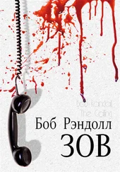 Боб Рэндолл - Зов