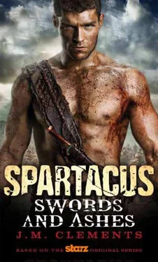 J. Clements Spartacus: Swords and Ashes обложка книги