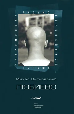 Михал Витковский Любиево обложка книги