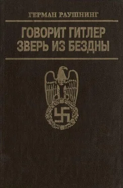 Герман Раушнинг Говорит Гитлер. Зверь из бездны обложка книги