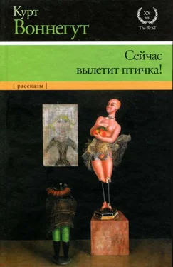 Курт Воннегут Сейчас вылетит птичка! обложка книги