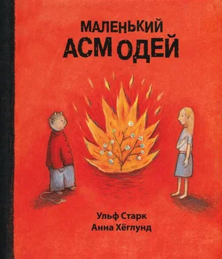 Ульф Старк Маленький Асмодей обложка книги