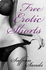 Saffron Sands - Free Erotic Shorts Kobo