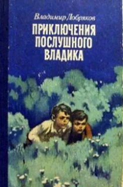 Владимир Добряков Приключения послушного Владика обложка книги