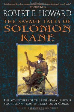 Robert Howard The Savage Tales of Solomon Kane обложка книги