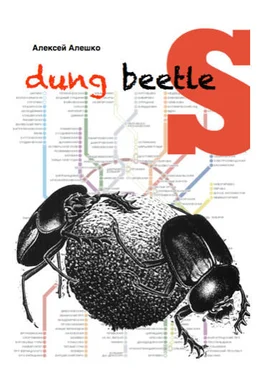 Alex Aleshko Dung beetles обложка книги