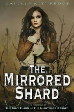 Caitlin Kittredge The Mirrored Shard