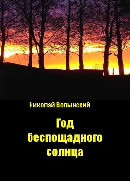 Николай Волынский Год беспощадного солнца обложка книги