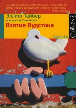 Эллиот Тайбер Взятие Вудстока обложка книги