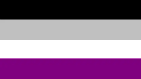 The Asexuality Flag also called the Ace Flag is made up of four equally - фото 1